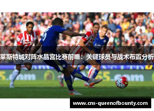 莱斯特城对阵水晶宫比赛前瞻:关键球员与战术布置分析 莱斯特城对阵水晶宫比赛前瞻:关键球员与战术布置分析