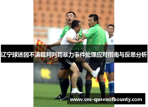 辽宁球迷因不满裁判判罚暴力事件处理应对指南与反思分析 辽宁球迷因不满裁判判罚暴力事件处理应对指南与反思分析