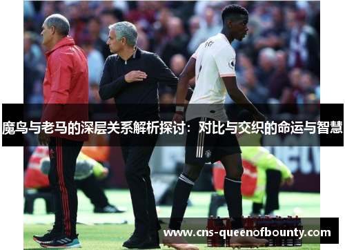 魔鸟与老马的深层关系解析探讨:对比与交织的命运与智慧 魔鸟与老马的深层关系解析探讨:对比与交织的命运与智慧